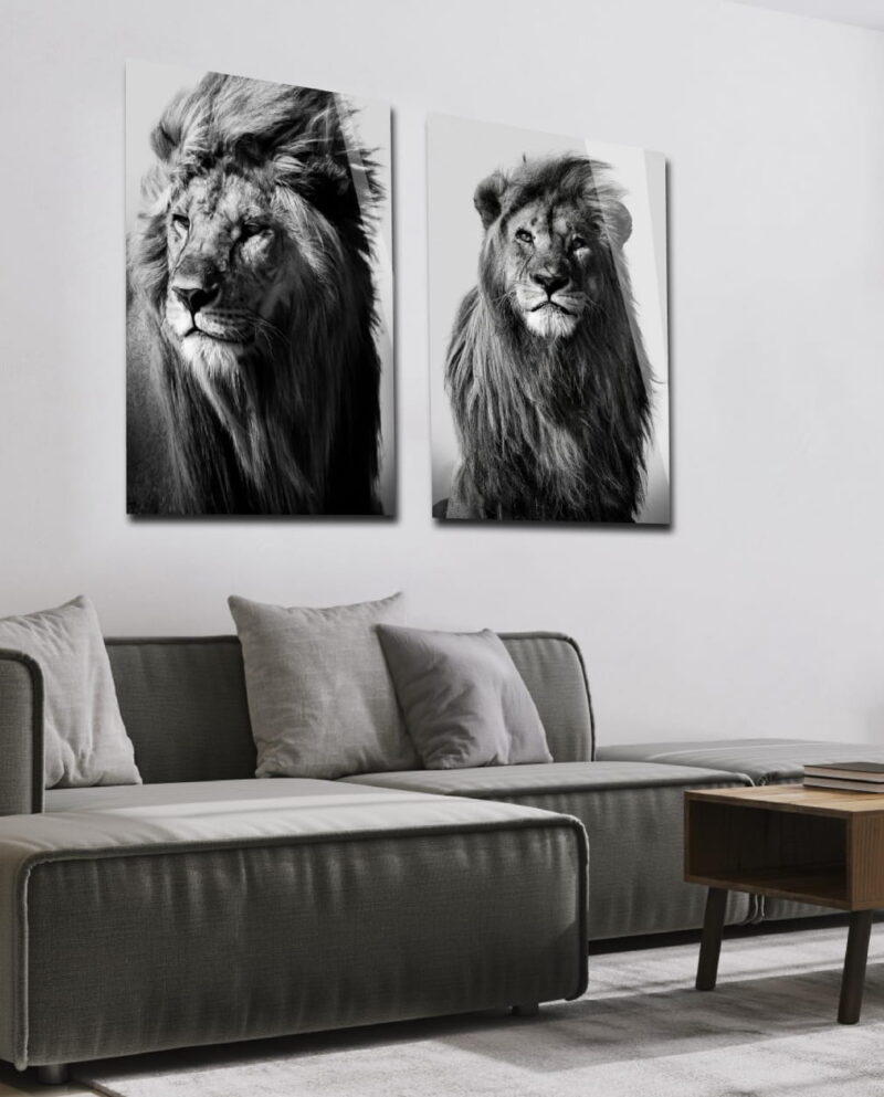 lion in the wild II - Afbeelding 3