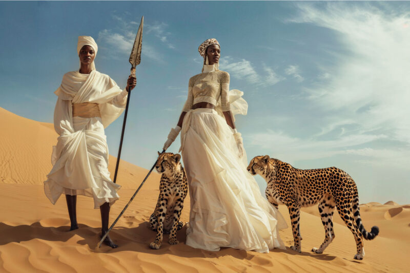 african cheetah I