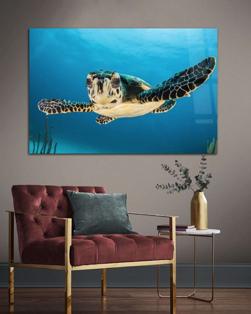 beauty of the ocean - Afbeelding 2