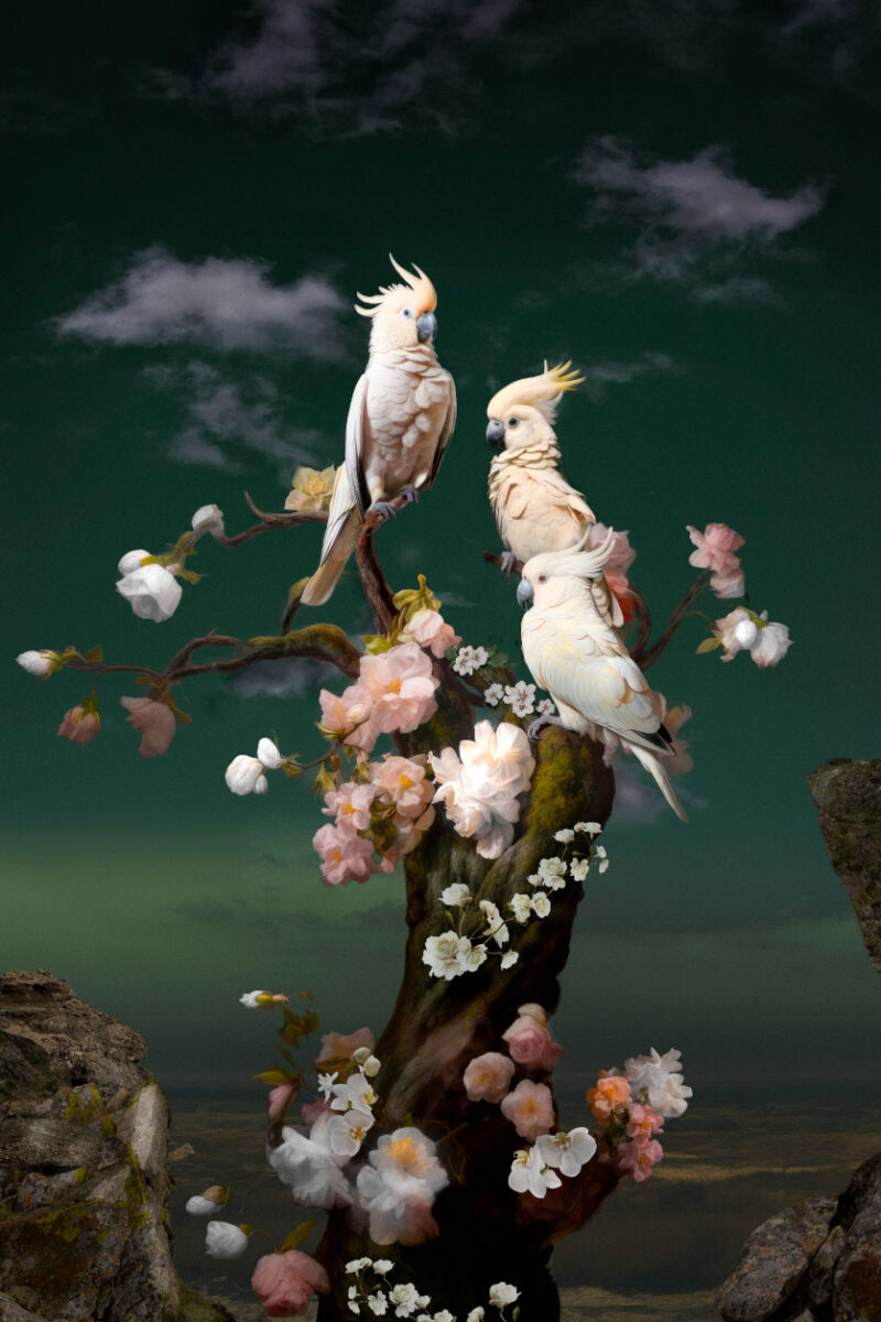bird still life