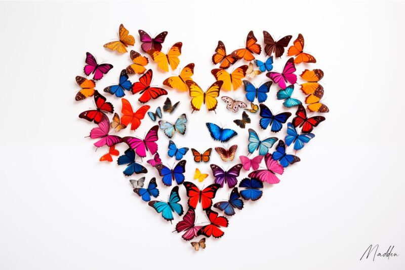 butterfly heart