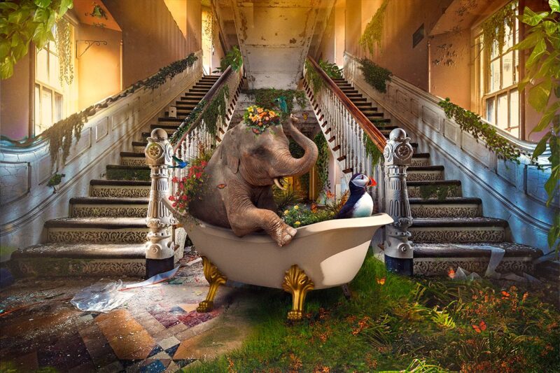 fantasy bath tub