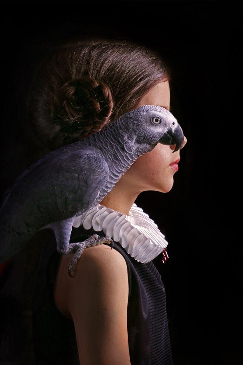 still life portrait II