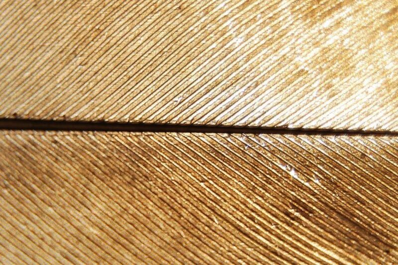 gold plated