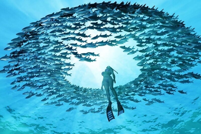 eye of the ocean