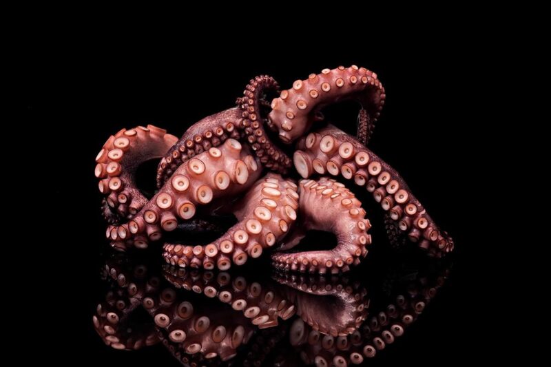 the octopus