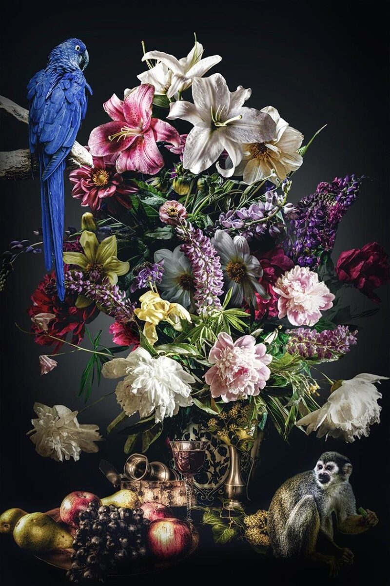 the still life collection III