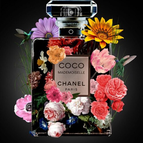 the perfume collection