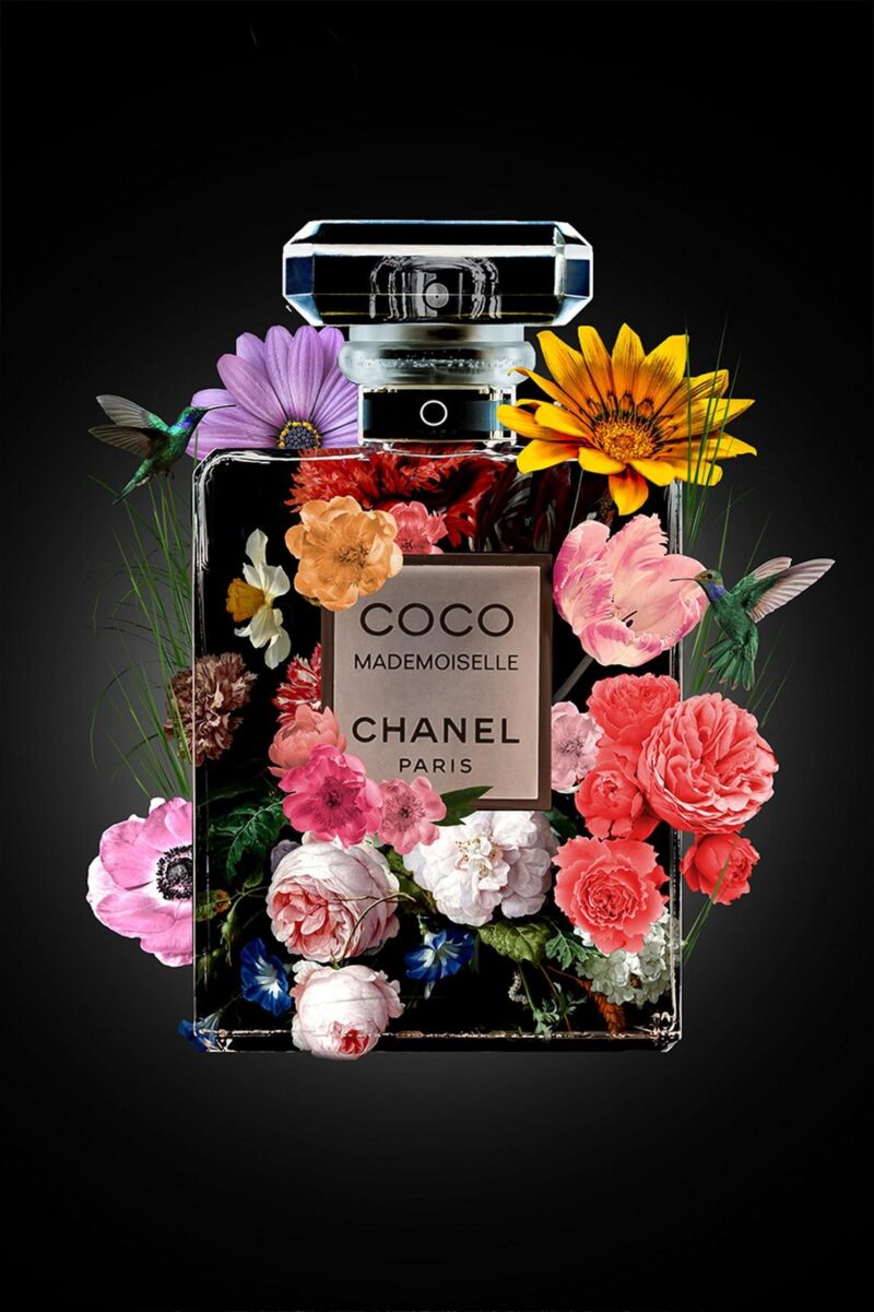 the perfume collection