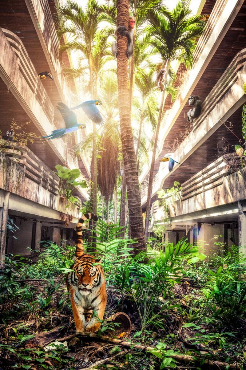 welcome to the jungle