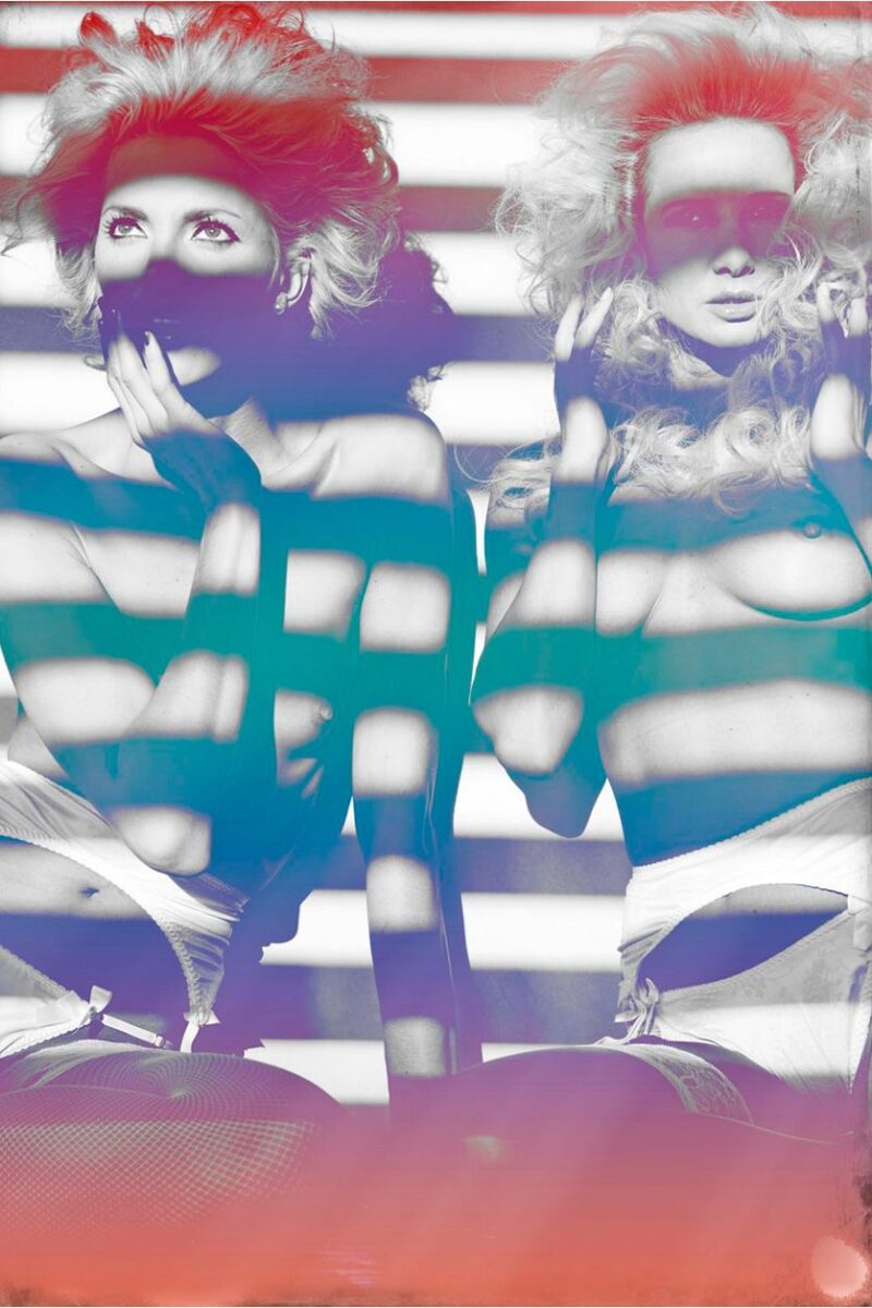 zebra ladies
