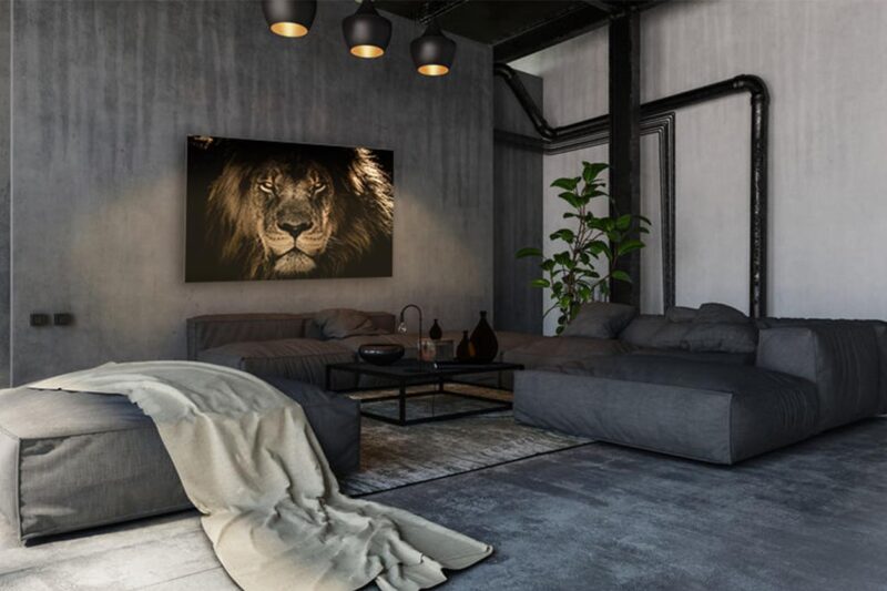 a lions portrait - Afbeelding 5