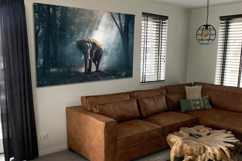 elephant journey - Afbeelding 2