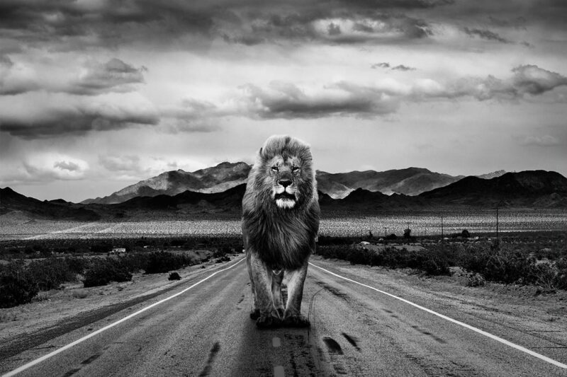 lonely roads