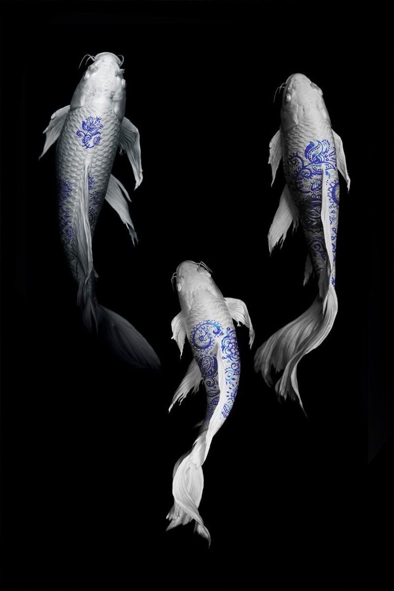 the art of fish