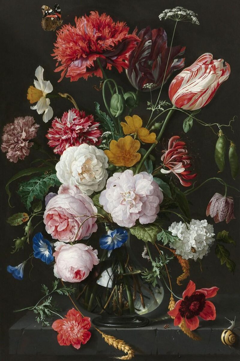 the still life collection II