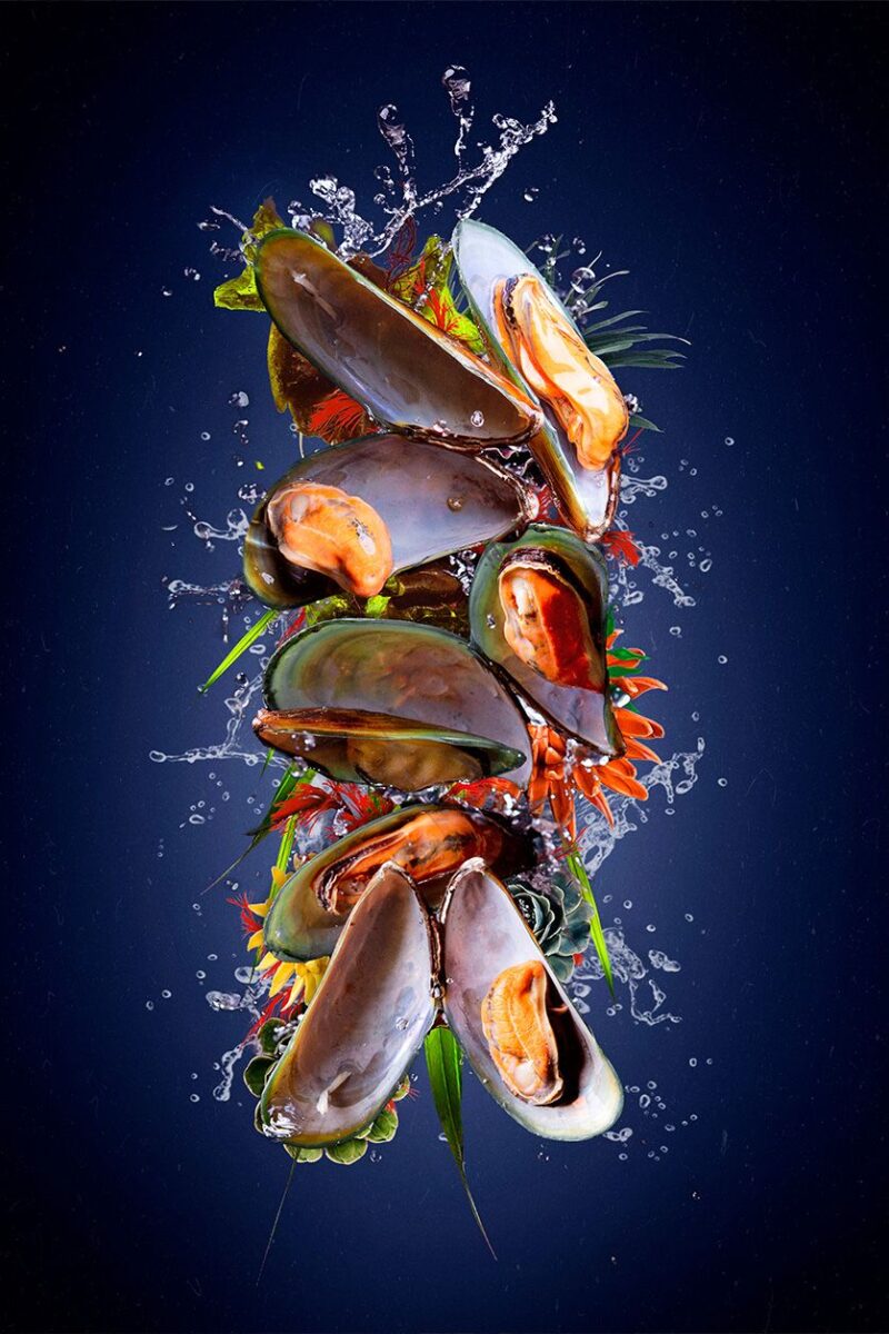 wonders of the sea II