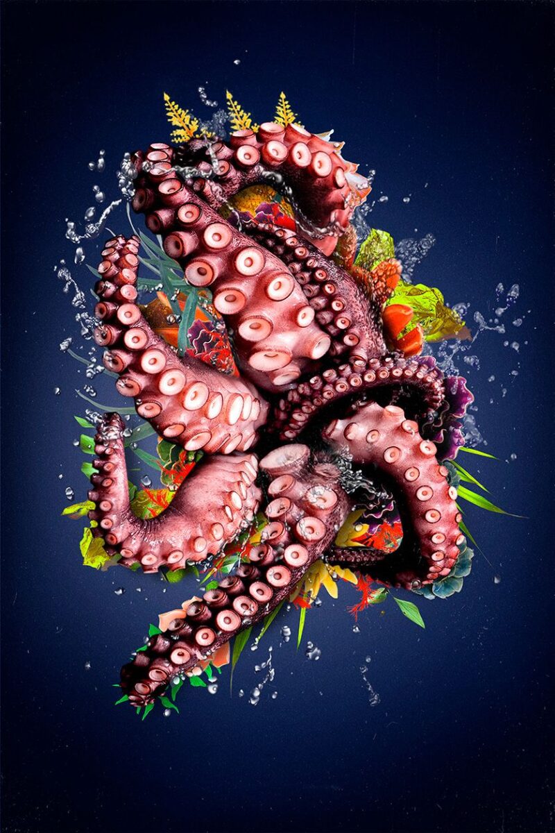 wonders of the sea III