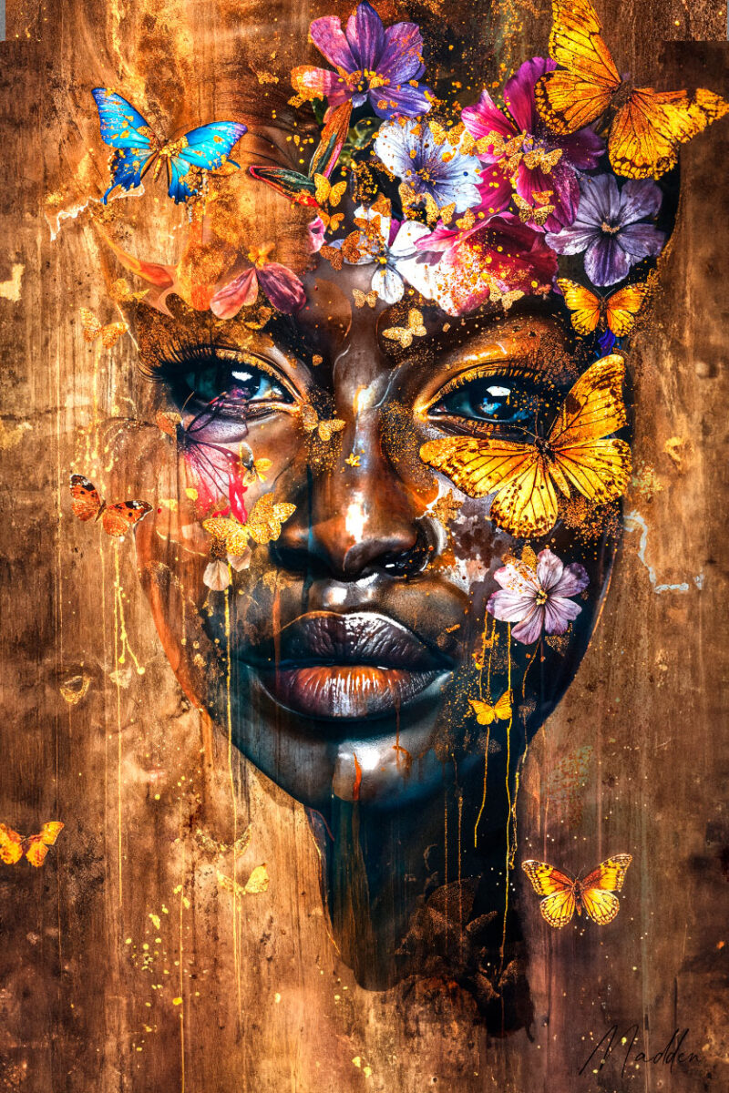 african butterflies I