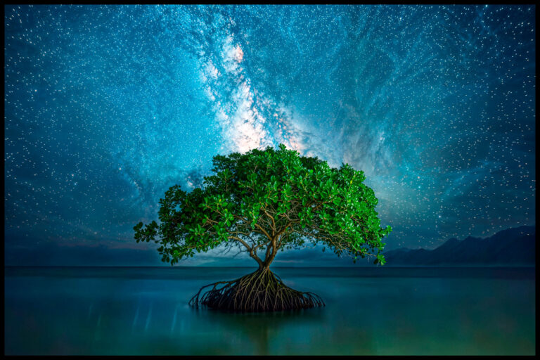 Nature-balance